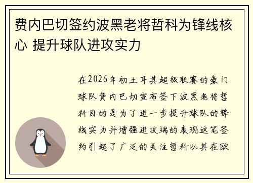 费内巴切签约波黑老将哲科为锋线核心 提升球队进攻实力